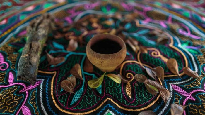 ayahuasca-deep-dive-tour-ceremony-fifteen-days