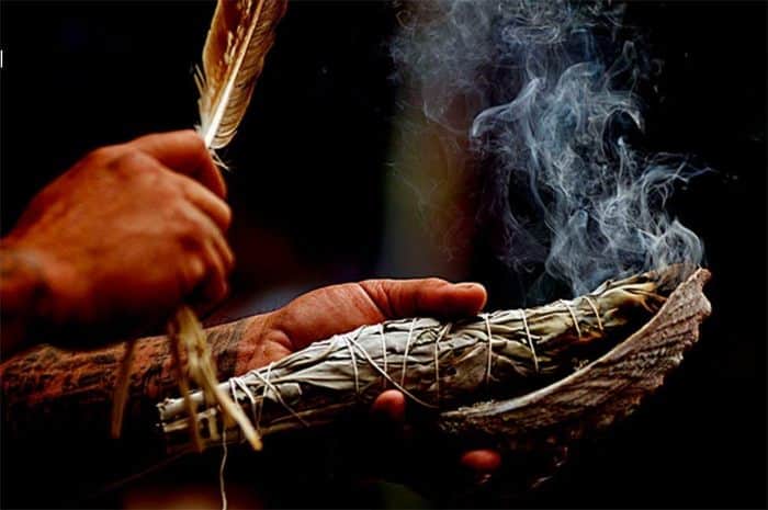 ayahuasca-experience-one-time-session-pucallpa