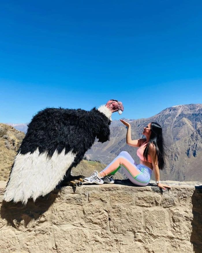 colca-canyon-discovery-tour