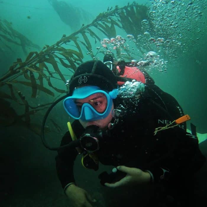 deep-dive-discovery-tour