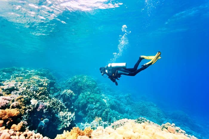 dive-and-discover-mancora-tour-iziperu