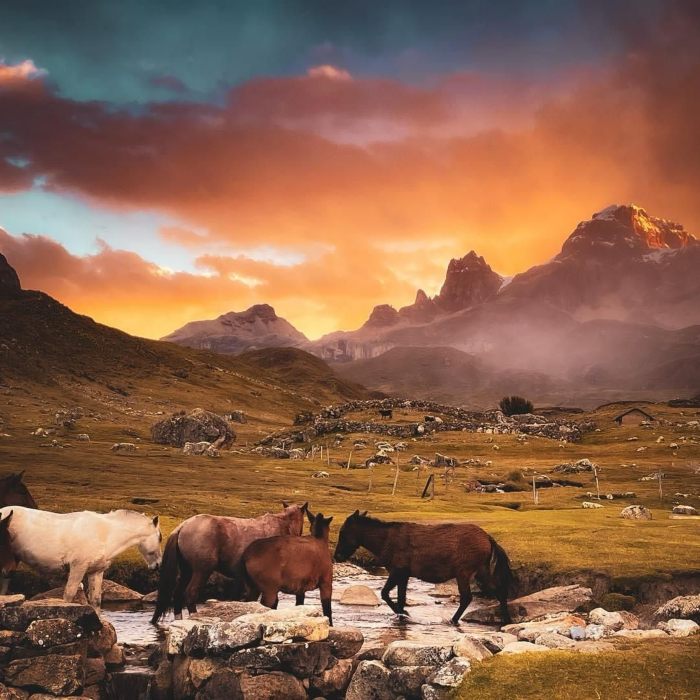 five-days-of-alpine-bliss-tour