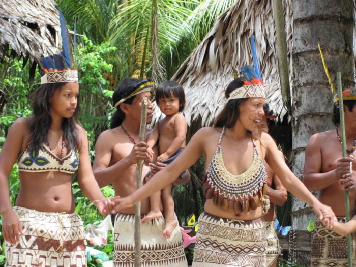 four-days-inside-rainforest-tour