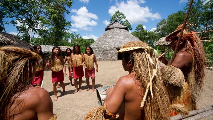 four-days-of-rainforest-marvel-tour-iziperu
