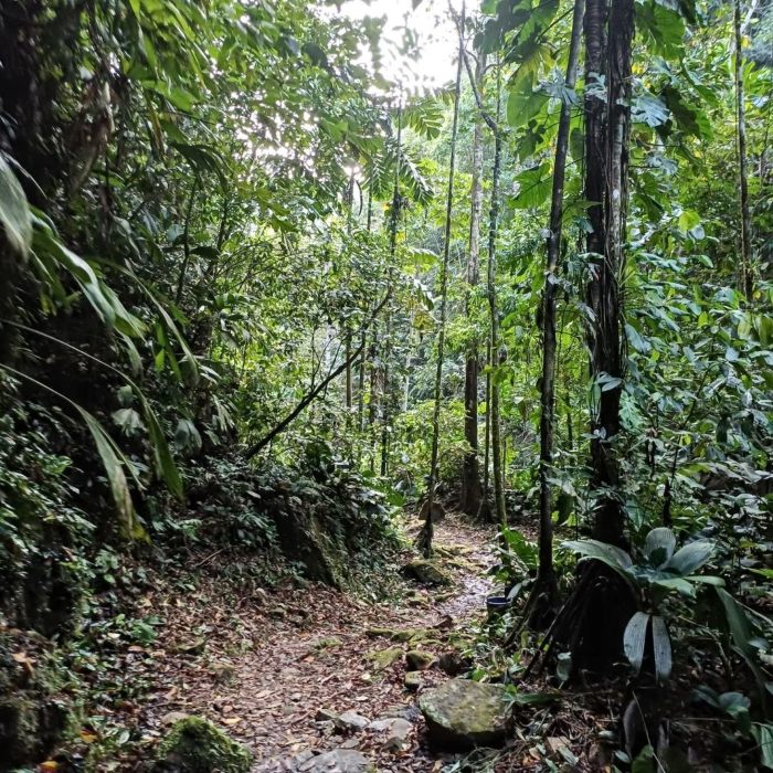 huacamaillo-waterfall-eco-experience-tour