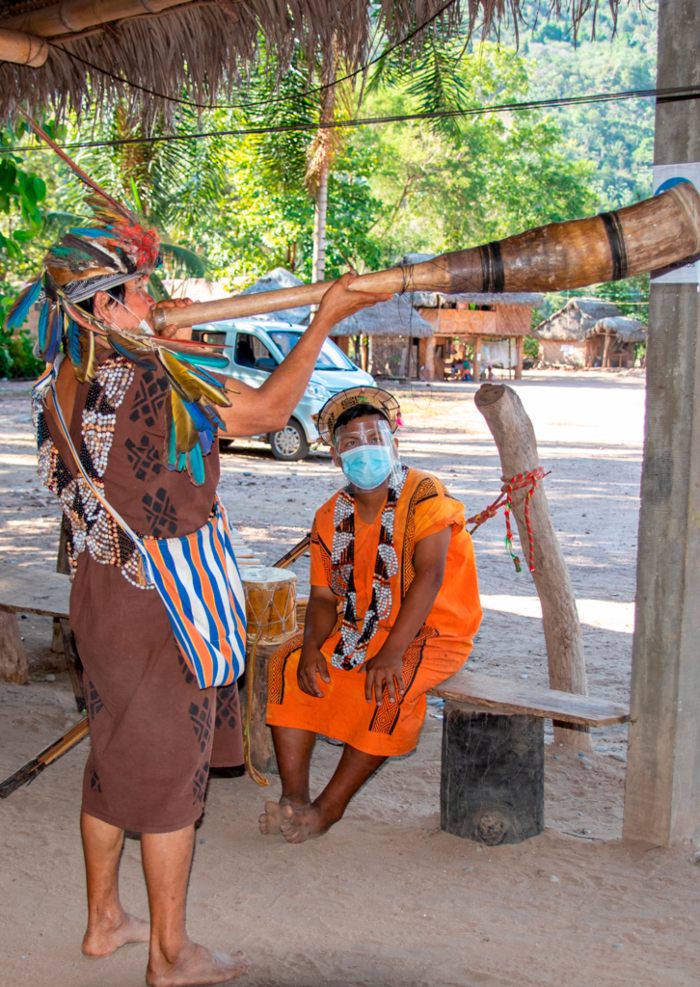 immerse-in-amazon-biodiversity-perene