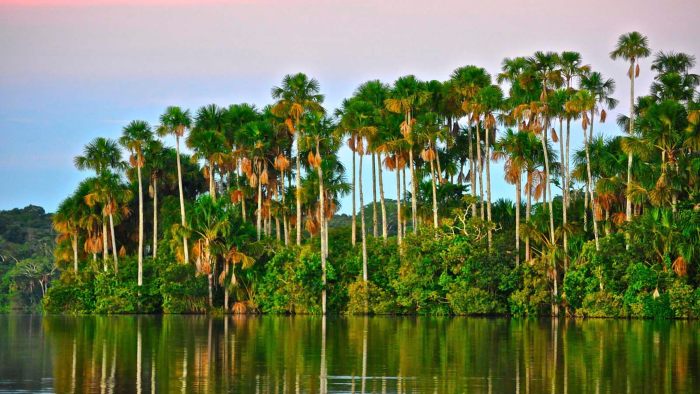 jungle-adventure-unleashed-tour-in-puerto-maldonado