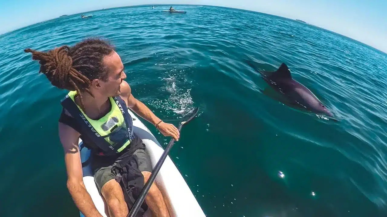 kayak-tour-exploring-lima-skyline-by-sea