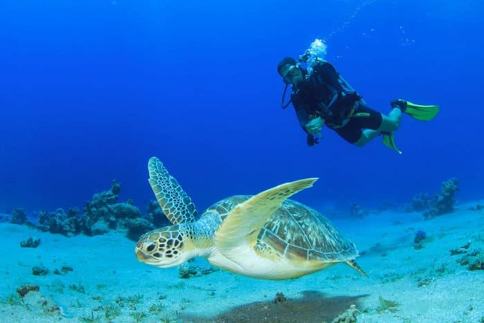mancora-subaquatic-world-iziperu