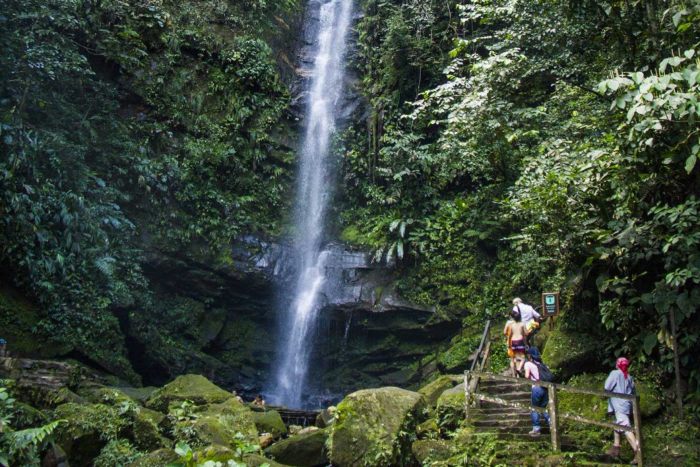nature-grandeur-tarapoto