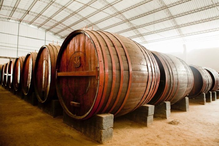 pisco-and-wine-tasting-tour