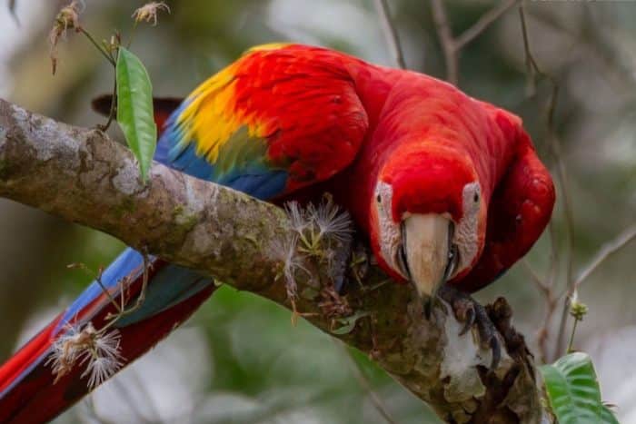 rainforest-escape-tour-in-iquitos