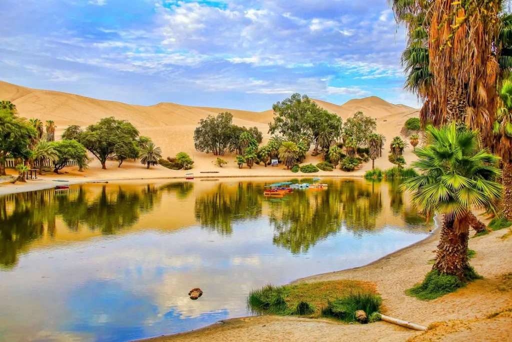 tour-paracas-and-huacachina