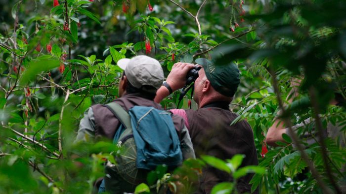 two-days-in-the-tambopata-jungle-tour-in-puerto-maldonado