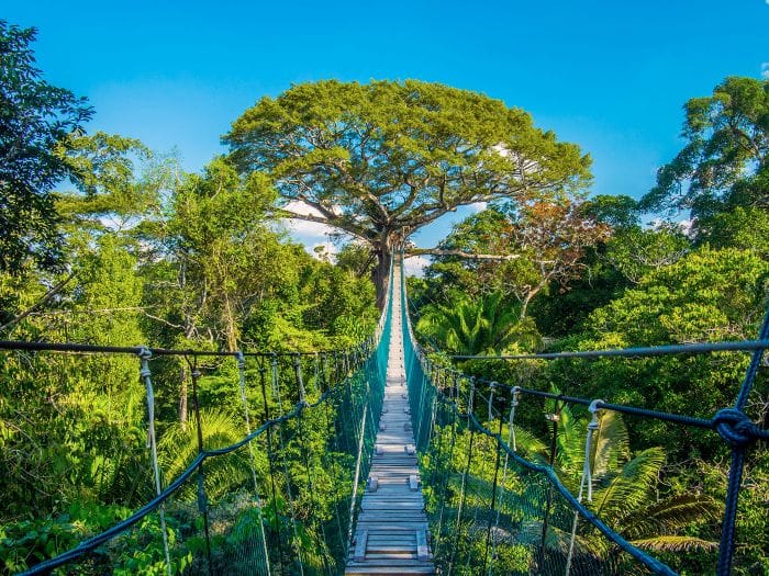two-days-in-the-tambopata-jungle-tour