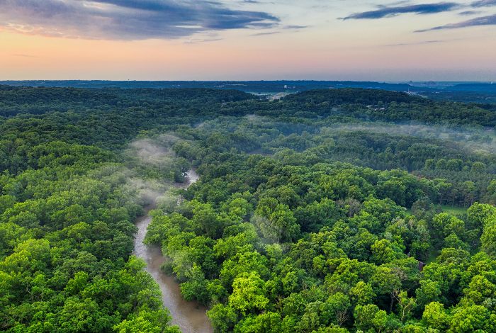 two-days-rainforest-discovery-tour-in-iquitos