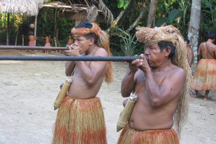 two-days-rainforest-discovery-tour